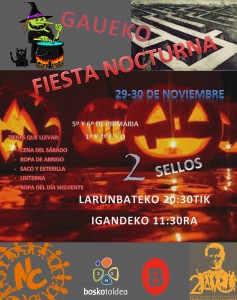 CARTEL FIESTA NOCTURNA