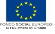 FONDO SOCIAL EUROPEO
